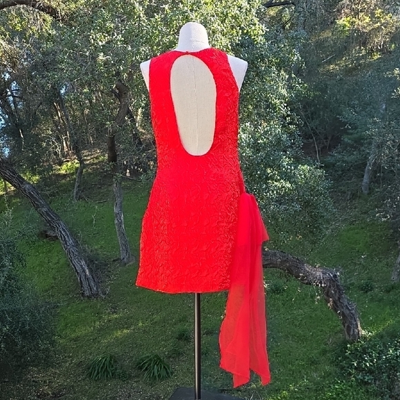 NWOT FOR LOVE AND LEMONS FROSTED ORGANZA MINI DRESS IN RED #2 SIZE S - Picture 5 of 8